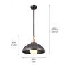 Kichler Lighting Fira 1 - Light Pendant in  Anvil Iron - 4 of 4