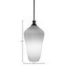 Toltec Lighting Carina 1 - Light Pendant in  Matte Black with 11" Opal Frosted Shade - 2 of 2