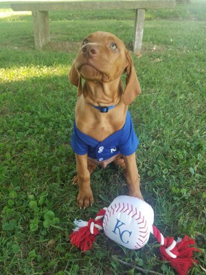 Pets First Texas Rangers Nylon Baseball Rope Dog Toy