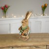 Northlight 10.5" Sisal Easter Bunny Rabbit Spring Figure with Carrot Basket - Brown/Green - image 2 of 4