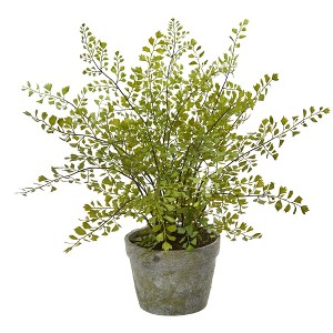 13" x 16" Artificial Maiden Hair Plant in Decorative Planter - Nearly Natural: Indoor Greenery Decor - 1 of 3