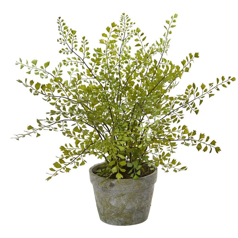 13&#34; x 16&#34; Artificial Maiden Hair Plant in Decorative Planter - Nearly Natural, 1 of 5