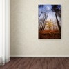 Trademark Fine Art -Philippe Sainte-Laudy 'Sentinel' Canvas Art - 3 of 3