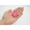 Collectible Wildlife Gifts | Starfish, Sun Star, Purple, Echinoderms, Asteroidea, Ocean, Sea Life, Plastic ,  Toy, Gift,  2 1/4  "  F930 B158 - 3 of 4