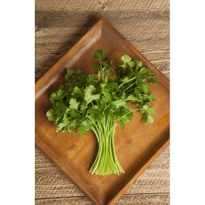 Organic Fresh Cilantro - 1ct