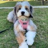 Voyager Step-In Flex Adjustable Dog Harness for All Breeds - 4 of 4