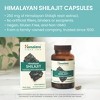 Himalaya Shilajit Extract Capsules, 60 Count, 250 mg Himalayan Shilajit Resin for Men and Women, Supports Energy - 3 of 4
