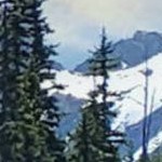 fencepost grey narrow