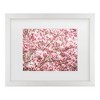 Trademark Fine Art Philippe Sainte Laudy Magnolias of March Matted Framed Art - 2 of 4