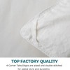 BPC 90 by 90 Inch Queen Sized Lightweight Modern All Season Down Comforter, Machine Washable and Dryable for Easy Care, White - 2 of 4