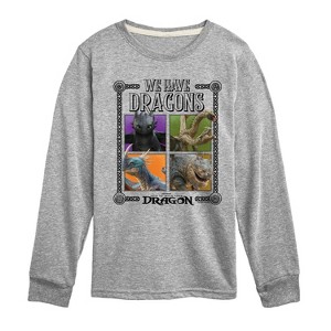 Boys' - How to Train Your Dragon - We Have Dragons Long Sleeve Graphic T-Shirt - 1 of 3