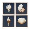 Gulches 4-Piece Framed Canvas Wall Art Set with Shell Photography - 3 of 4