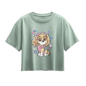 Girls' - Paw Patrol - Smile Skye Short Sleeve Boxy Graphic T-Shirt - 1 of 3