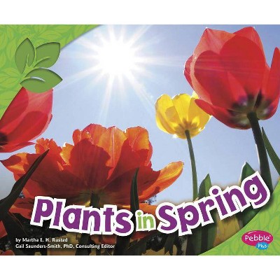 Plants in Spring - (All about Spring) by  Martha E H Rustad (Paperback)