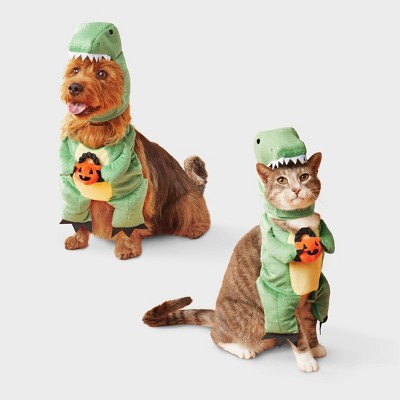 Dino with Pumpkin T-Rex Pail Dog and Cat Frontal Costume - Boots & Barkley™ Light Green