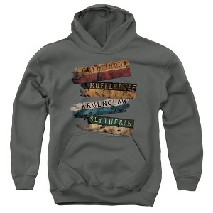 Boys’ Harry Potter Burnt Banners Hooded Sweatshirt - 1 of 4