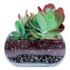 Lambert Horticultural Wood Charcoal Growing Media, Gray, 4 Dry Quarts - 3 of 3