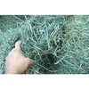 Standlee Premium Products Western Orchard Grass - 48 oz - 2 of 3