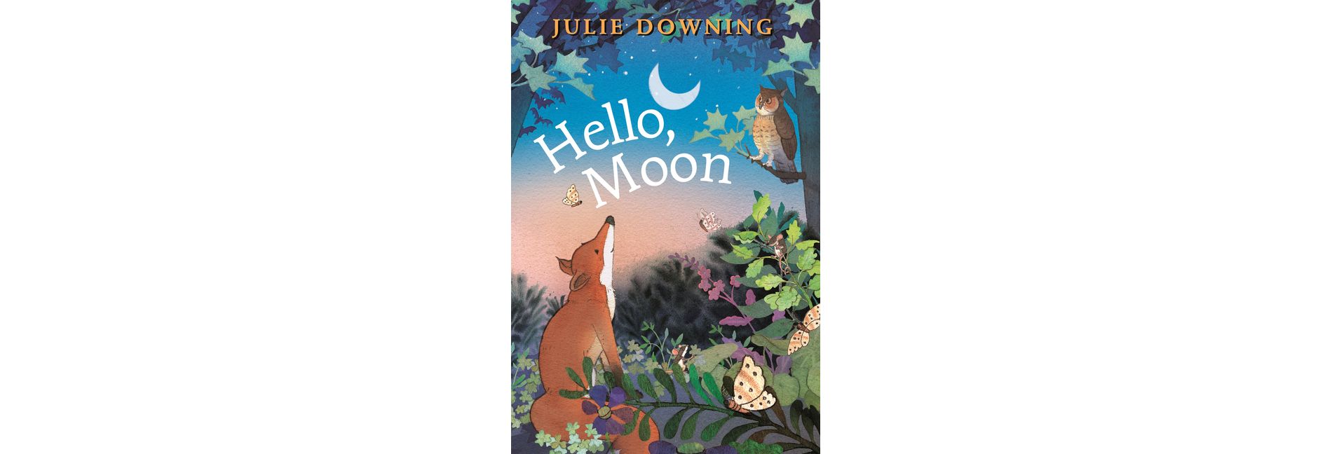 Hello, Moon - by  Julie Downing (Board Book)