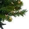 Northlight Pre-Lit Medium Royal Pine Artificial Christmas Tree - 2' - Clear Lights - 3 of 4