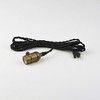 Maxim Lighting Early Electric 1 - Light Pendant in  Black/Antique Brass - 3 of 3