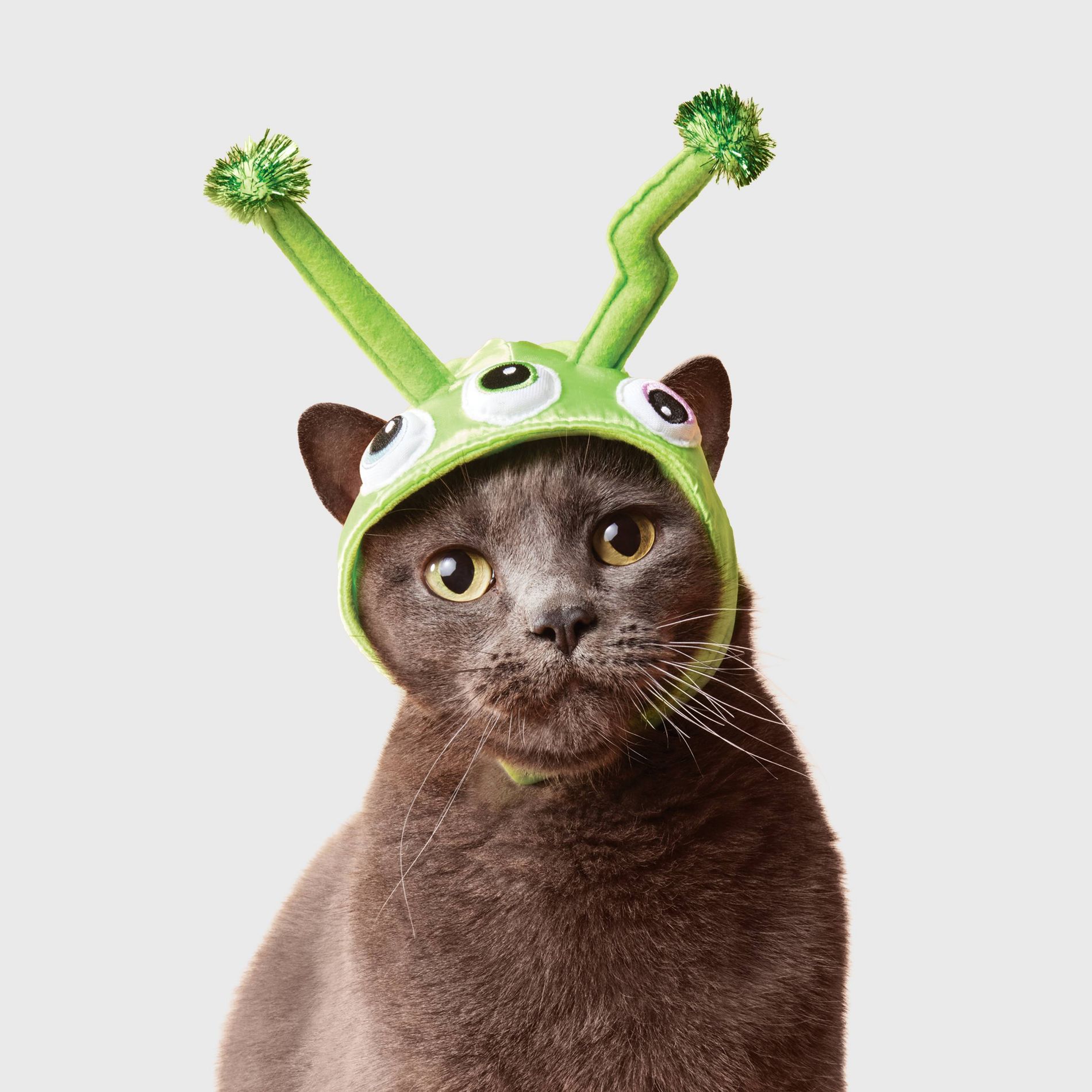 Alien Cat Headpiece Costume - Boots & Barkley™ Green One Size Fits Most
