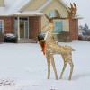55" Prelit Crystal Champagne Standing Buck - National Tree Company - 2 of 3