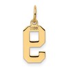 Black Bow Jewelry 14k Yellow Gold, Athletic Collection, Small Polished Number 9 Pendant - 3 of 4