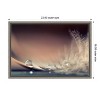 Amanti Art Stories of Drops Feather Macro by Dmitry Doronin Canvas Wall Art Print Framed 23 x 16-in. - 4 of 4