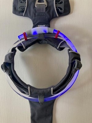 Nite Ize Howl Rechargeable Disco Dog Collar : Target