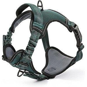rabbitgoo Dog Harness for Medium Dogs No Pull, Medium Dog Vest with Bungee Handle & 2 Metal Clips, Belly Adjustable, Soft Padded (Green, M) - 1 of 1