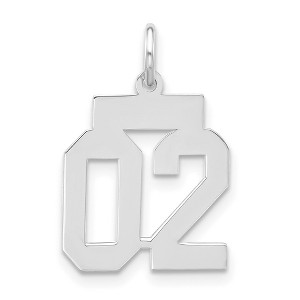 Black Bow Jewelry Sterling Silver, Athletic Collection, Small Polished Number 02 Pendant - 1 of 4