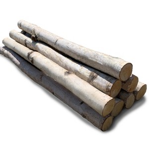 Wilson's Decorative White Birch Log Bundle - 24" Length - 1 of 3