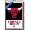 Trends International NBA Chicago Bulls - Logo 21 Framed Wall Poster Prints - 3 of 4
