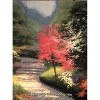 Manual Woodworkers and Weavers Afternoon Light Dogwood Throw Blanket 50"x60", Cotton, Nature Floral Home Accent - 2 of 3