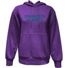 NBA Charlotte Hornets Women's Long Sleeve Hooded Sweatshirt - 2 of 4