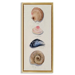 Stupell Industries Traditional Nautical Sea Shells, 11" x 25" - 1 of 4