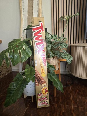 Guest review image 1 of 3, zoom in