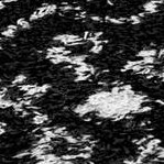 black and white