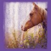 Juniors Womens Lost Gods Horse in Pasture T-Shirt - 2 of 4