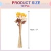 Unique Bargains Natural Dried Floral Bunny Tail Artificial Plants 17" 120 Pcs - 2 of 4
