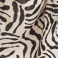 painted zebra