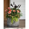 Gardener's Supply Company Galvanized Steel Ribbed Barrel Planter | 14" Diameter Indoor Outdoor Rust-Proof & Watertight Container for Plants & Flowers - 2 of 3