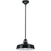 Progress Lighting, Cedar Springs, 1-Light Outdoor Hanging Light, Black Finish, Gloss White Shade - 3 of 4