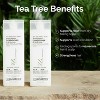 Giovanni Tea Tree Triple Treat Invigorating Shampoo & Conditioner (24oz DUO SET) Cooling Peppermint, Eucalyptus Kit - 4 of 4