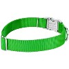 Country Brook Petz Premium Nylon Dog Collar with Metal Buckle for Small Medium Large Breeds - Vibrant 30+ Color Selection - 4 of 4