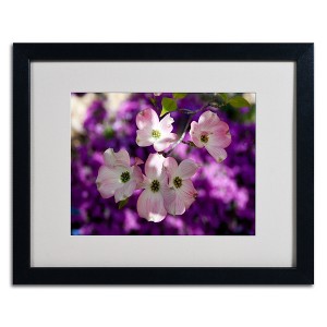 Trademark Fine Art -Kurt Shaffer 'Pink Dogwood' Matted Framed Art - 1 of 4