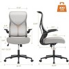 DOMETOUR Ergonomic Computer Chair Mesh Backrest Office Chair with Flip-up Armrests Lumbar Support Backrest for Home Office - 2 of 4