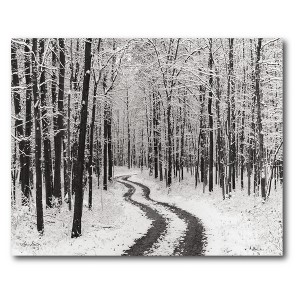 Courtside Market Snowy Country Road 16x20 Gallery-Wrapped Canvas - 1 of 4