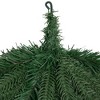 Northlight 32" Unlit Mixed Pine Artificial Christmas Teardrop Swag - 4 of 4